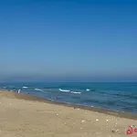Arena Dorada * Oropesa del Mar