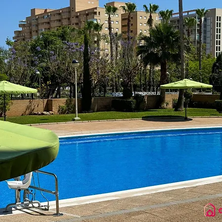Arena Dorada