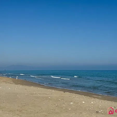 Arena Dorada * Oropesa del Mar
